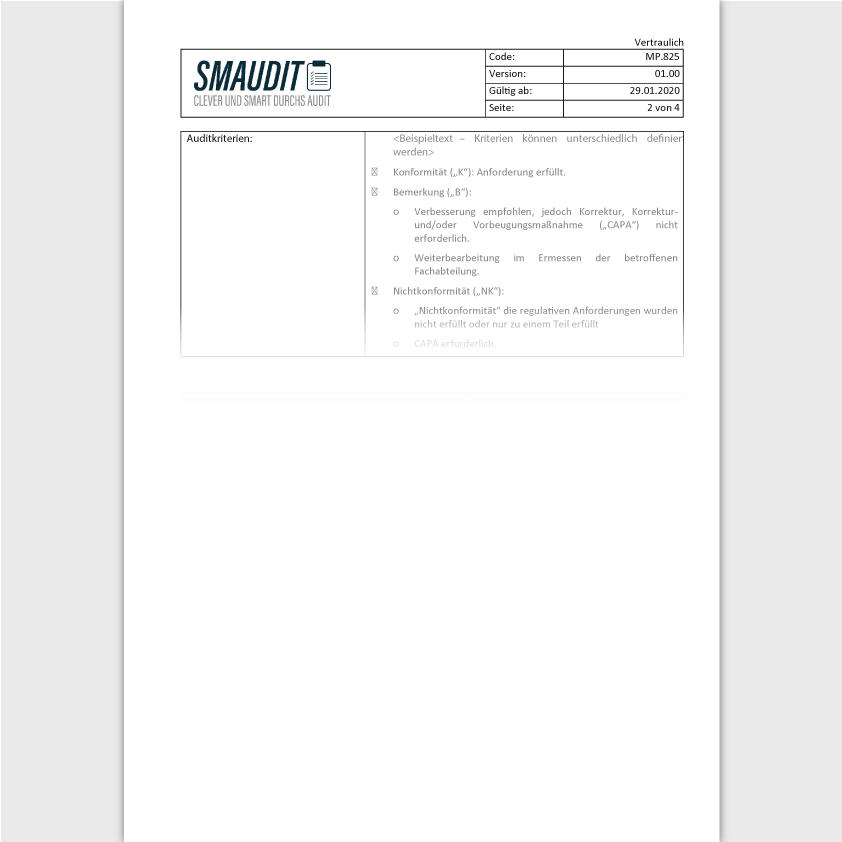 MP.825 - F&T Auditplan - SMAUDIT - DIN EN ISO 13485