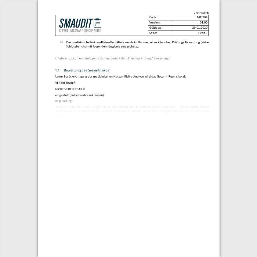 TD.704 - F&T Risikomanagementbericht - SMAUDIT - Technische Dokumentation